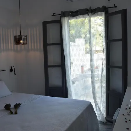Rodi * Paro